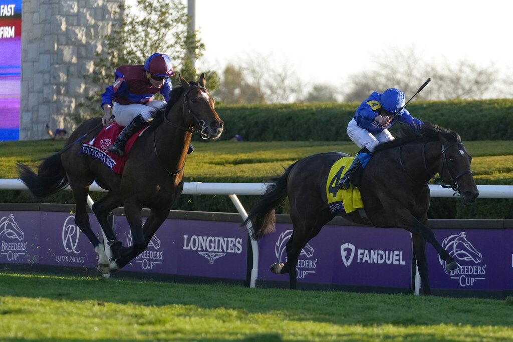 Breeders' Cup 2022 Filly & Mare Turf Picks at Keeneland on FanDuel Racing