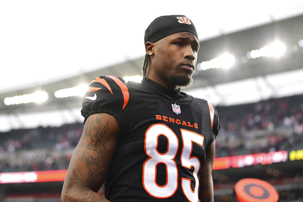Tee Higgins' Mom Roasts Him on Twitter for Drops