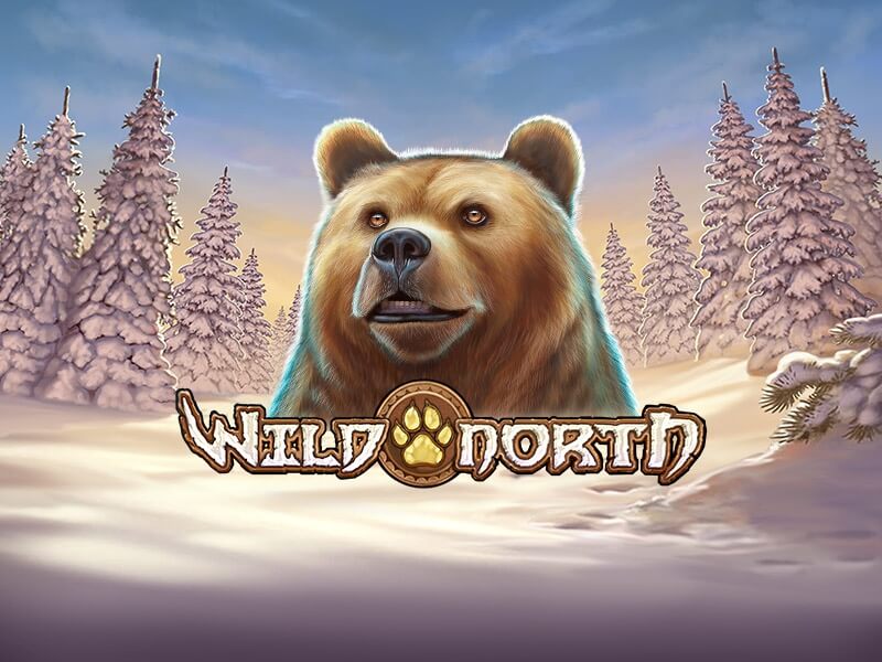 New Casino Games Spotlight: Wild North