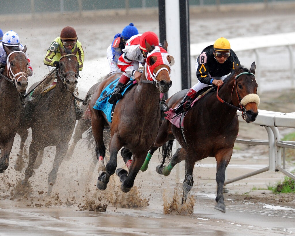 Fair Grounds Prep Race Picks for Saturday 1/21/23