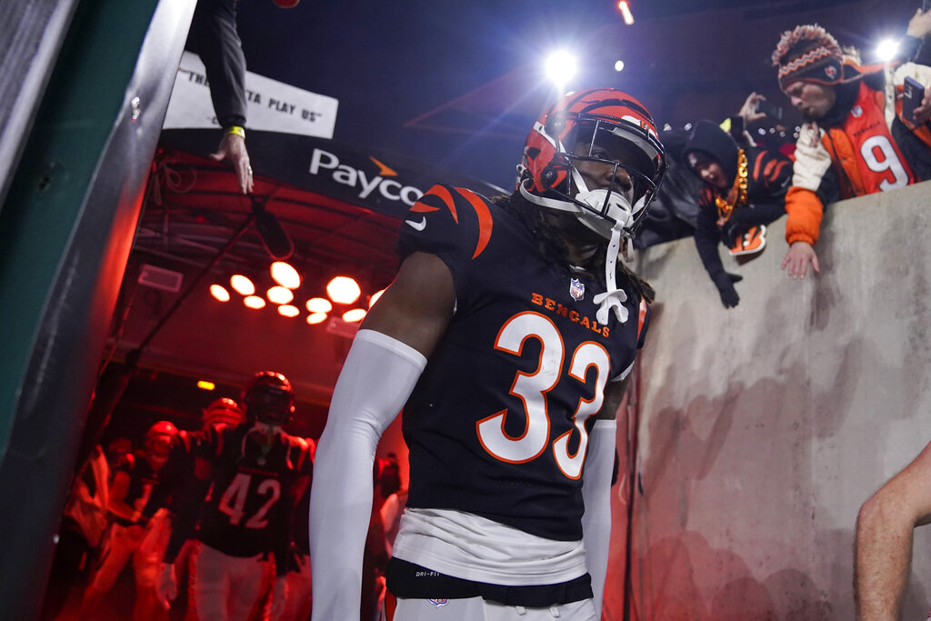 bengals flowers 33