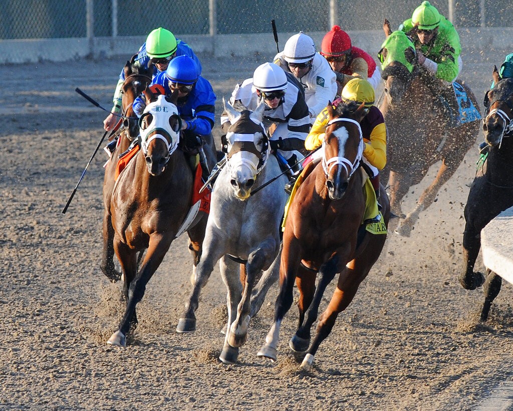 Louisiana Derby 2023 Field, Odds and Picks for Saturday 3/25/23