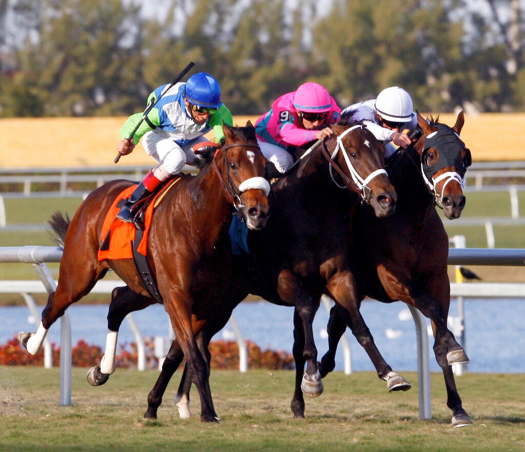 Florida Derby 2023 Field, Odds and Picks for Saturday 4/1/23