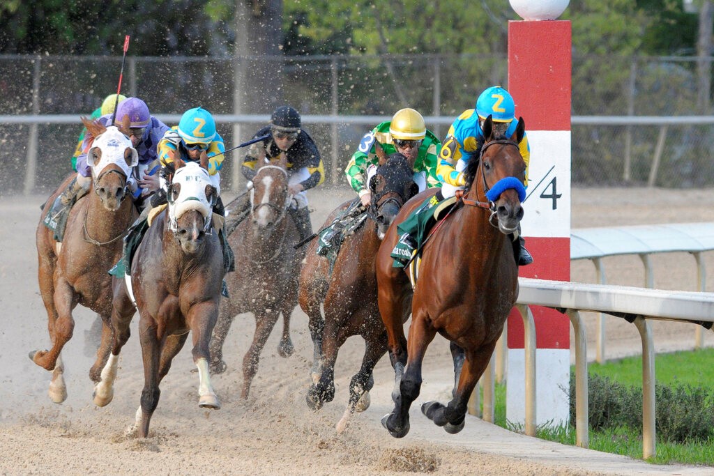 Arkansas Derby 2023 Field, Odds and Picks for Saturday 4/1/23