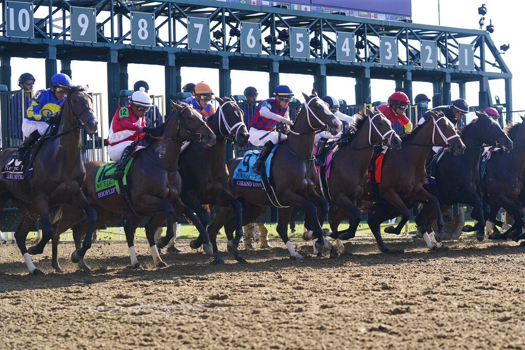 Jace's Road Kentucky Derby Horse Odds, History and Predictions (Lack of Momentum Gives Him Little Upside)
