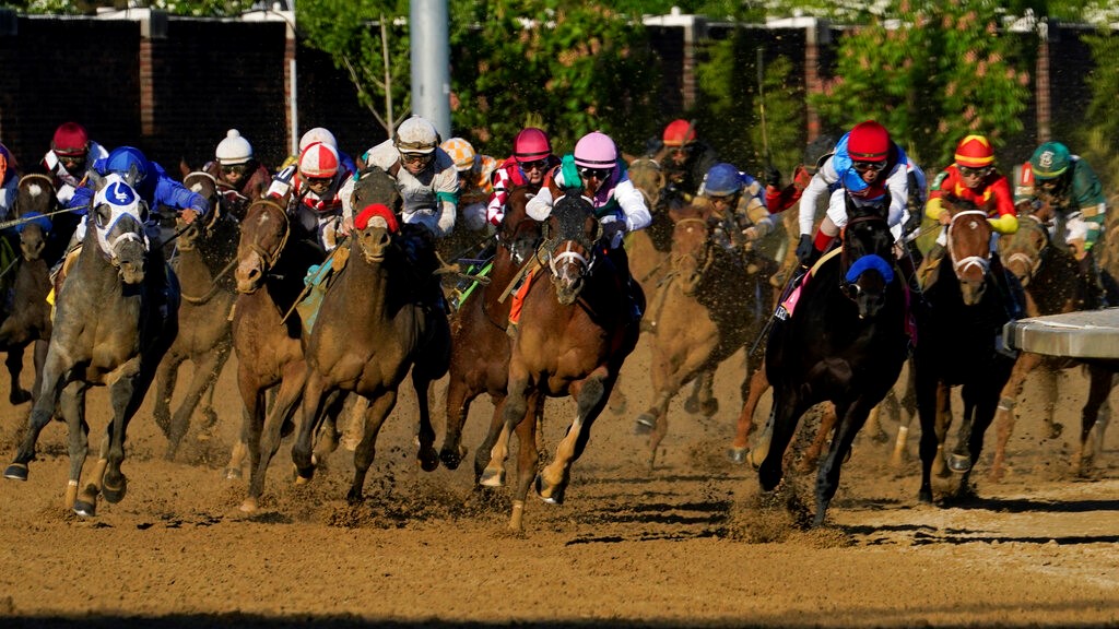 National Treasure Preakness Horse Odds History and Predictions