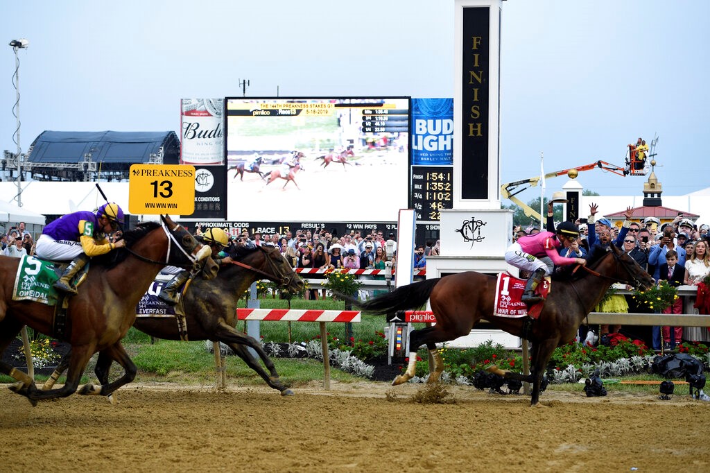 Red Route One Preakness Horse Odds, History and Predictions (Long Shot Odds Leave Colt Underrated)