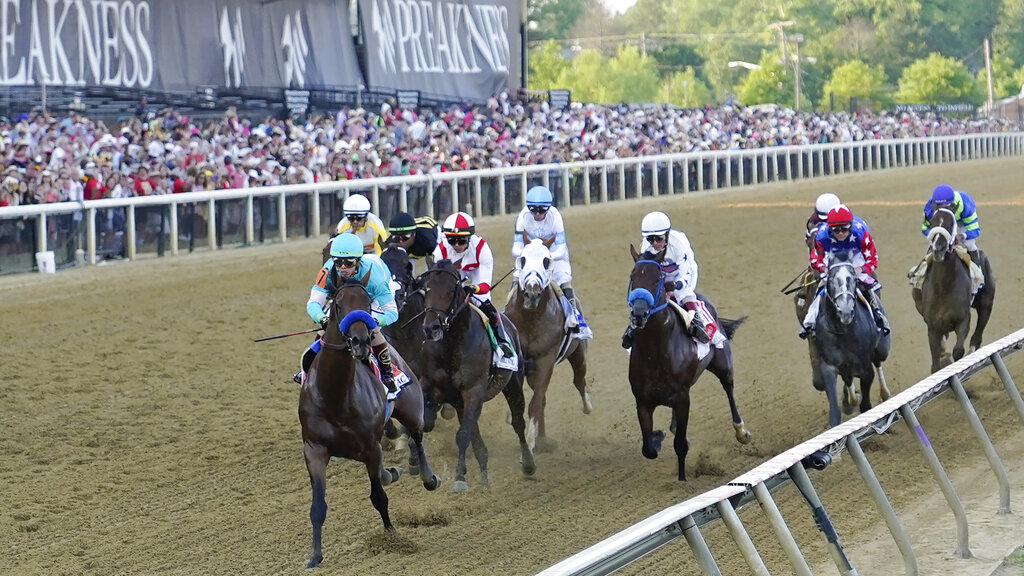 First Mission Preakness Horse Odds, History and Predictions (Past Success Makes Him Safe Pick on Saturday)