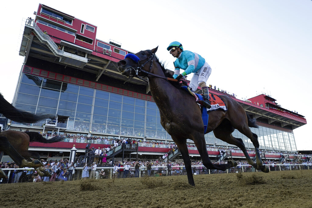 Il Miracolo Preakness Horse Odds, History and Predictions (Will Plentiful Racing Experience Pay Off at Pimlico?)