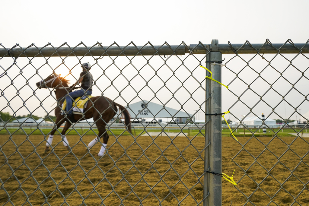 Coffeewithchris Preakness Horse Odds, History and Predictions (Maryland's Own Looks for Win at Pimlico)