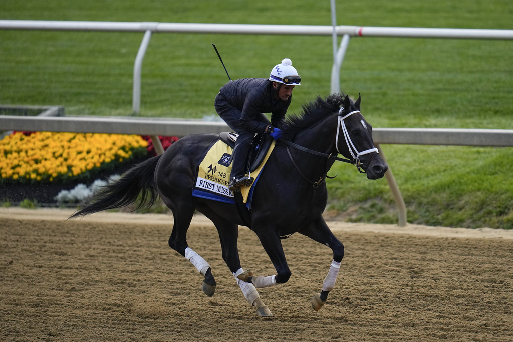 2023 Preakness Odds Updated With Scratches on FanDuel Sportsbook After First Mission Drops Out