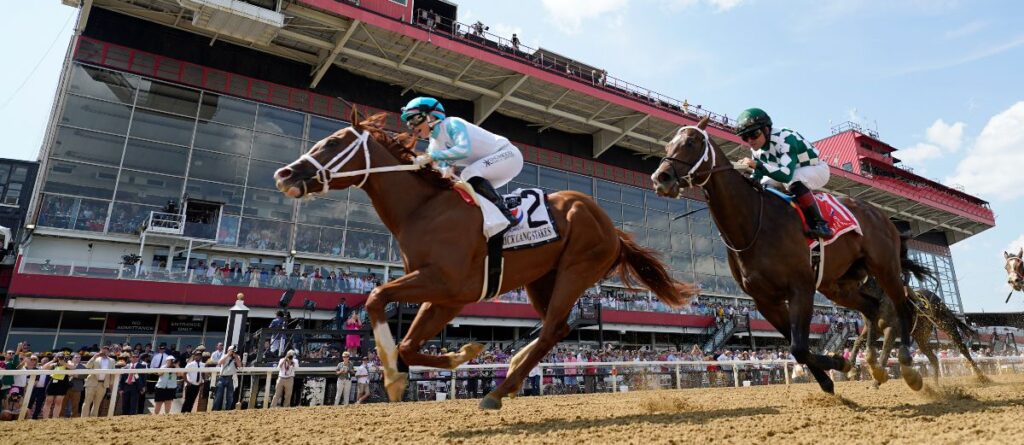 Pimlico Horse Racing Picks for Saturday 5/20/23