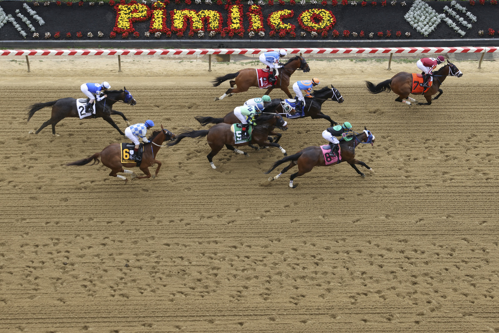 Preakness 2023 Results: Who Won the Preakness Stakes?