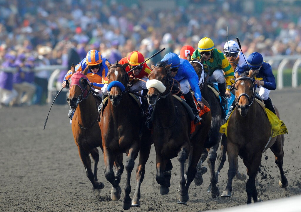 Memorial Day Horse Racing Schedule Includes 9 Stakes Races at Belmont & Santa Anita