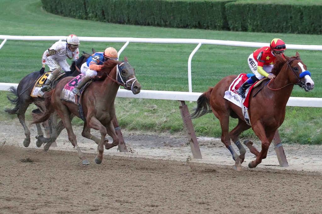Forte  Belmont Stakes Odds, History and Predictions (Race Favorite Gallops for Sixth Straight Win)