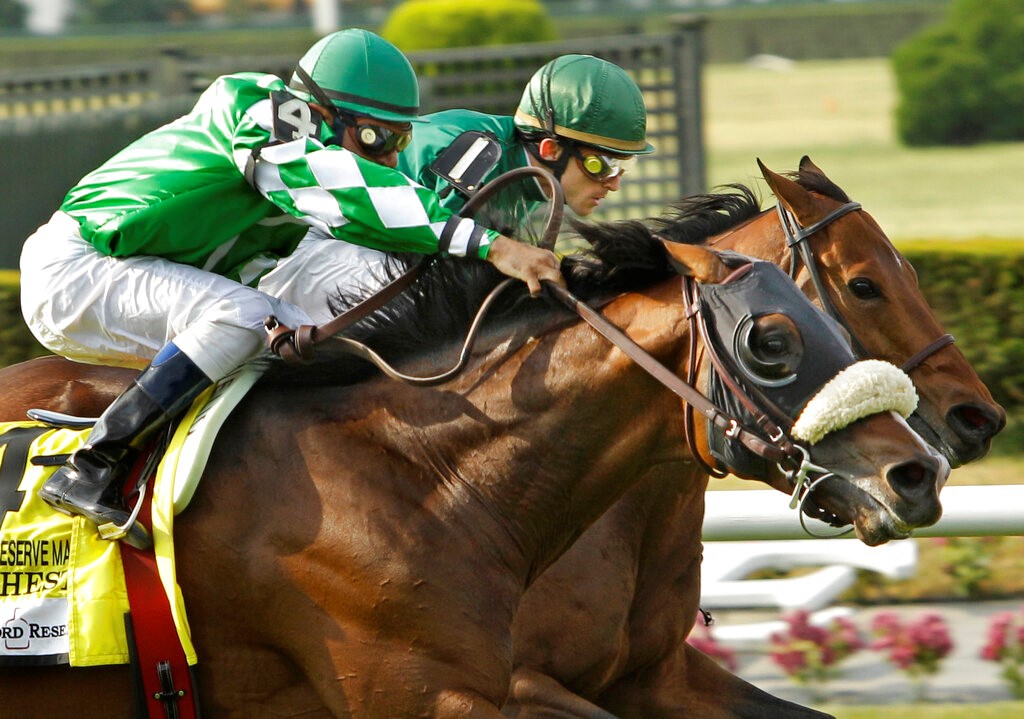 Angel of Empire Belmont Stakes Odds, History and Predictions (Proven Stakes Results and Win Contender)