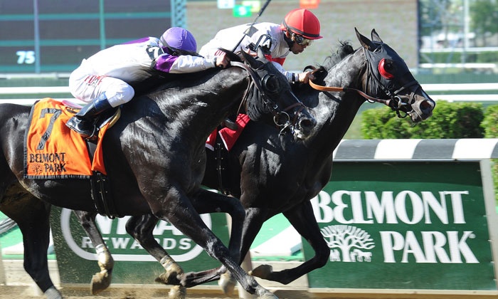 National Treasure Belmont Stakes Odds, History and Predictions (Preakness Winner Capable Against Stronger Field)