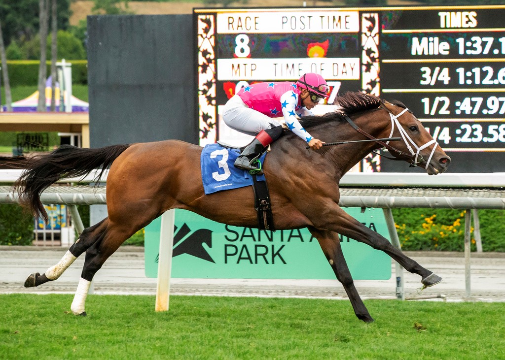Santa Anita Horse Racing Picks for Sunday 6/18/23 (Closing Day of Hollywood Meet)