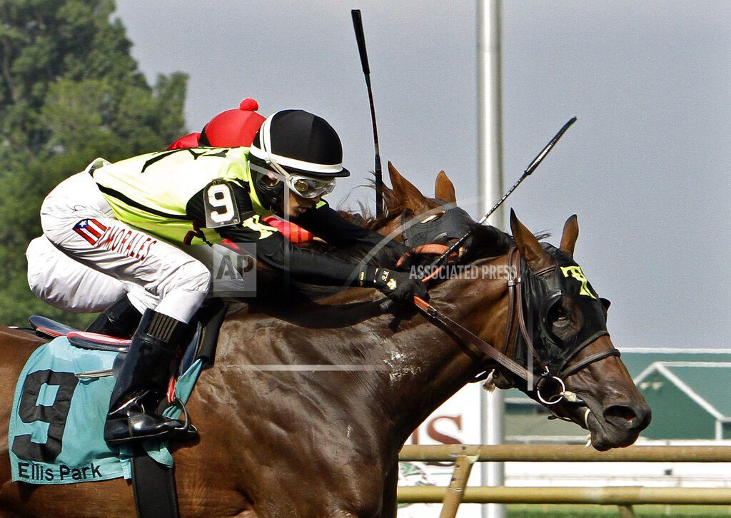 Ellis Park Horse Racing Picks for Saturday 6/24/23