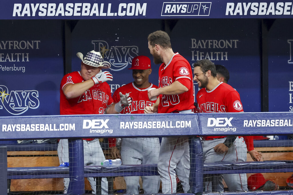 Yankees vs Angels Prediction, Odds, Moneyline, Spread & Over/Under for August 29