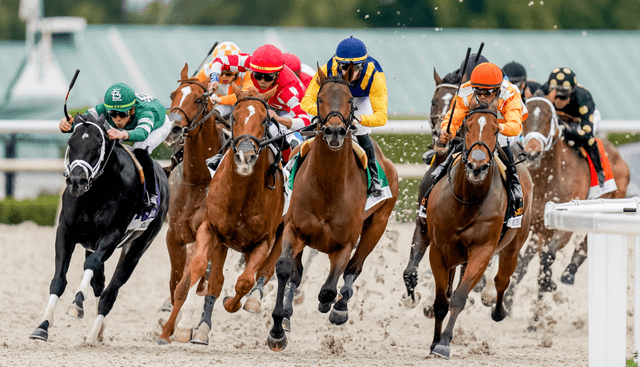 Watch Live FanDuel TV - Stream Live Sports, Horse Racing and Highlights