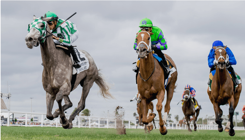 Watch Live FanDuel TV - Stream Live Sports, Horse Racing and Highlights
